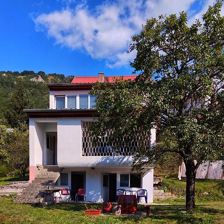 Guesthouse Mirkovic Pluzine Exterior foto