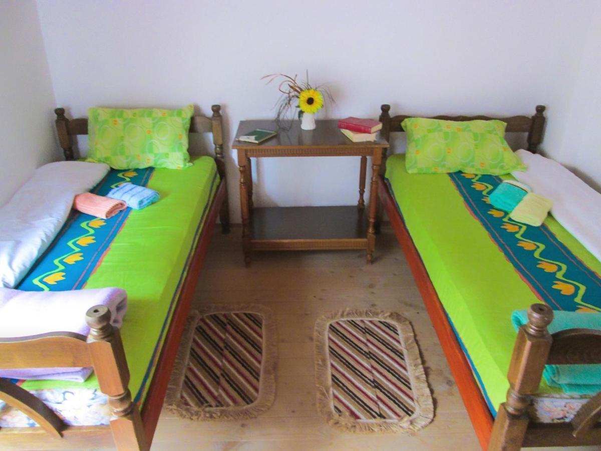 Guesthouse Mirkovic Pluzine Exterior foto