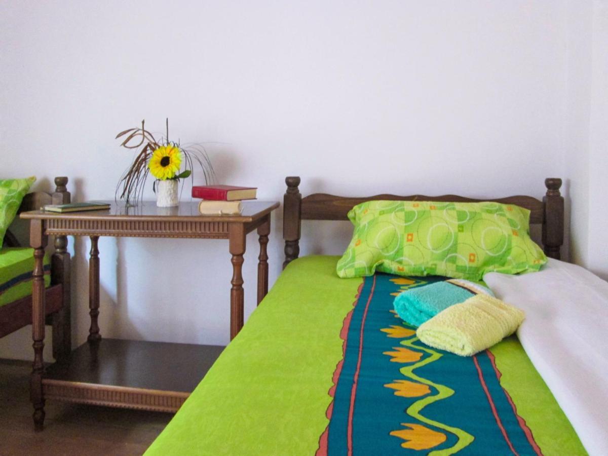 Guesthouse Mirkovic Pluzine Exterior foto