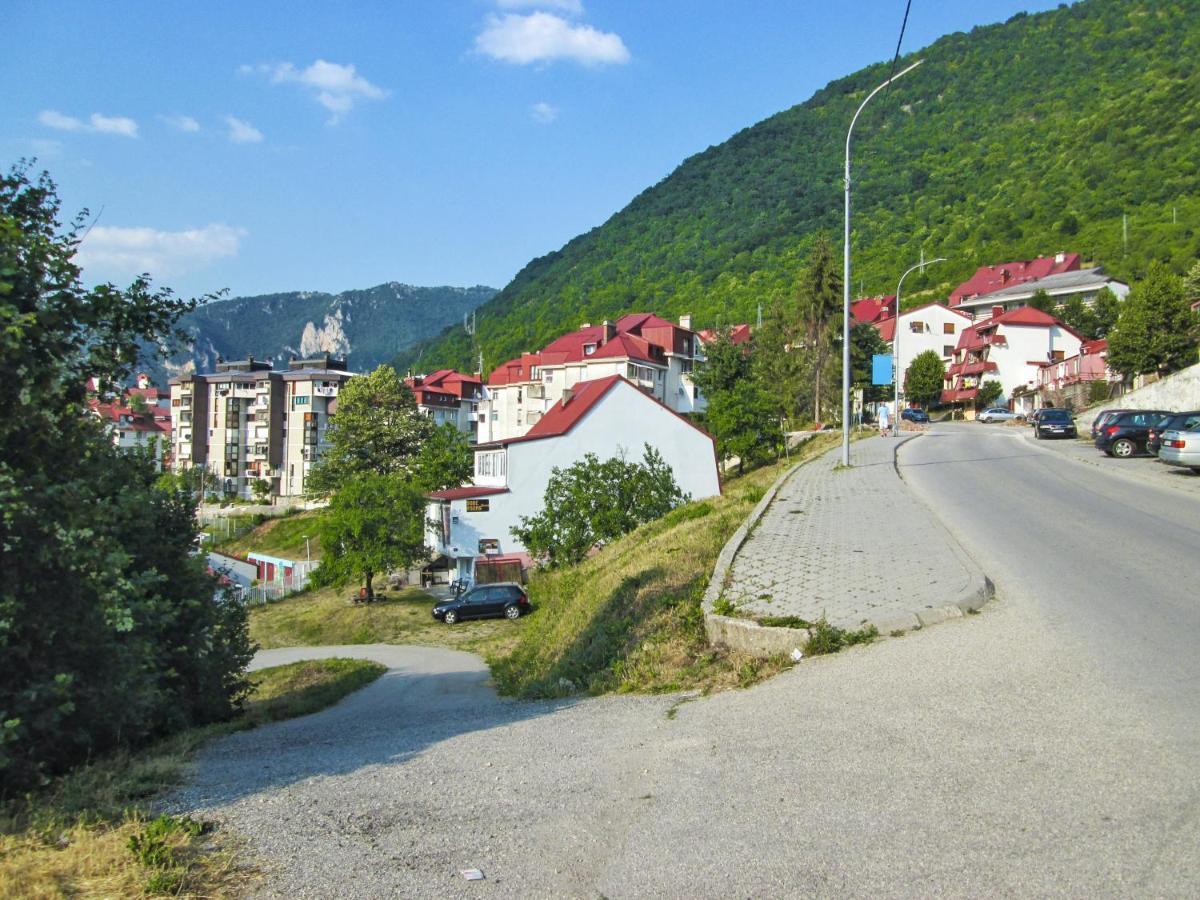 Guesthouse Mirkovic Pluzine Exterior foto