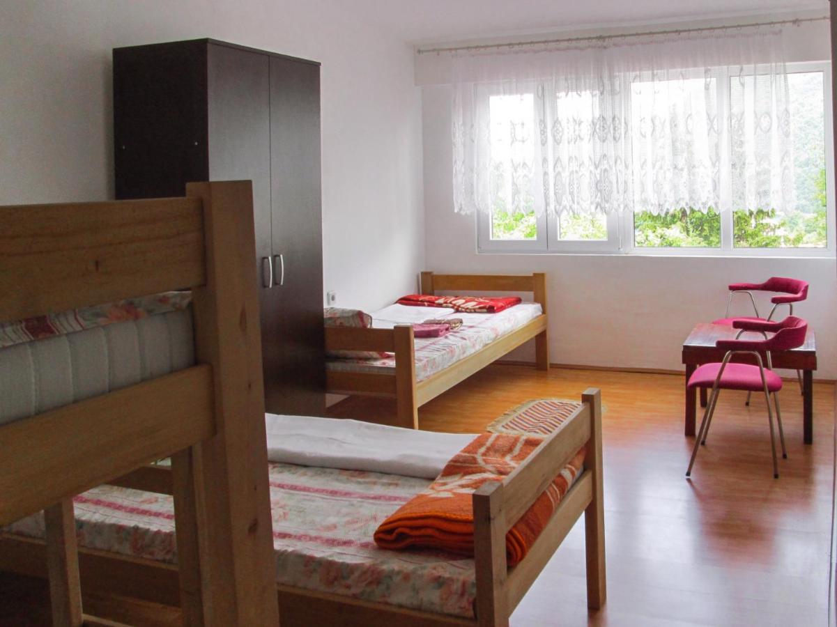 Guesthouse Mirkovic Pluzine Exterior foto
