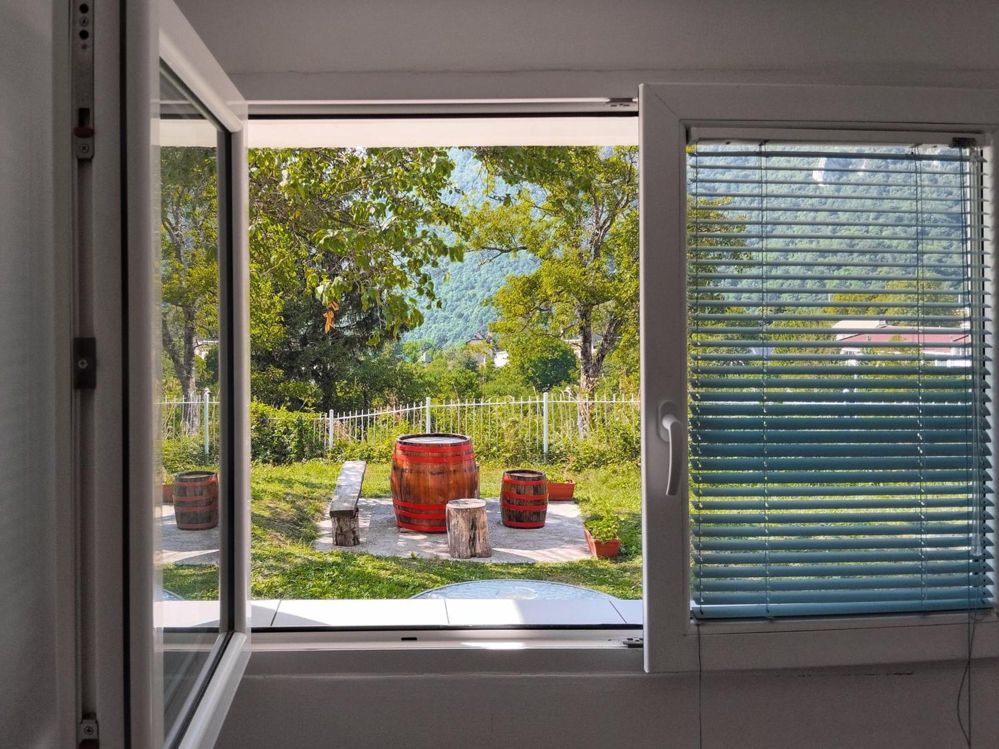 Guesthouse Mirkovic Pluzine Exterior foto