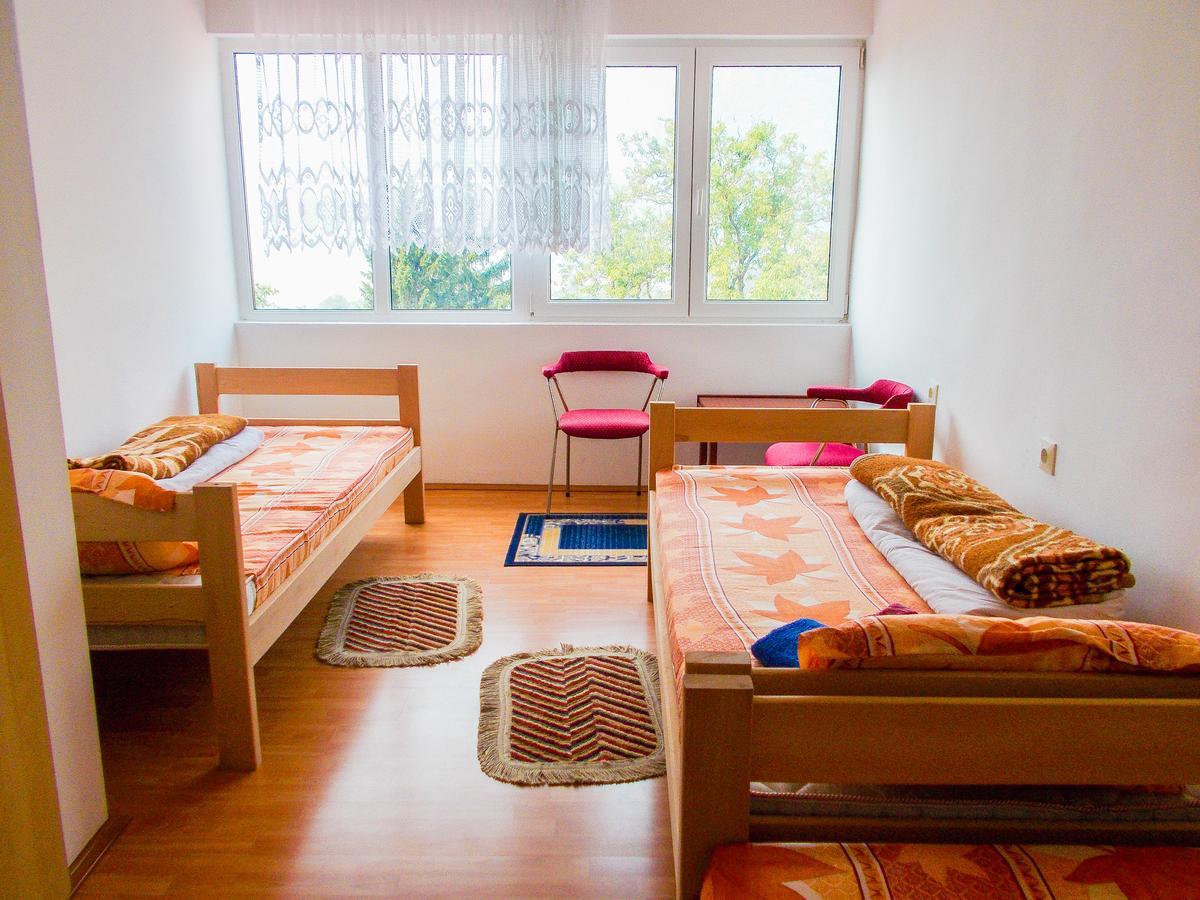 Guesthouse Mirkovic Pluzine Exterior foto