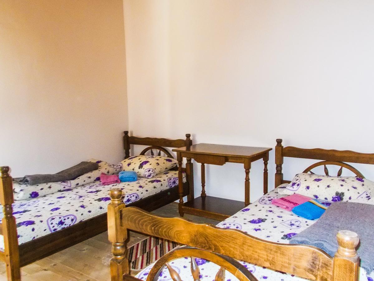 Guesthouse Mirkovic Pluzine Exterior foto