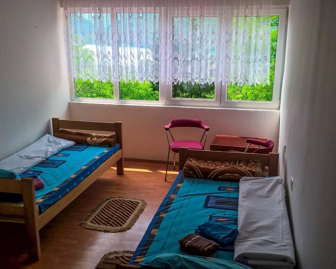 Guesthouse Mirkovic Pluzine Exterior foto
