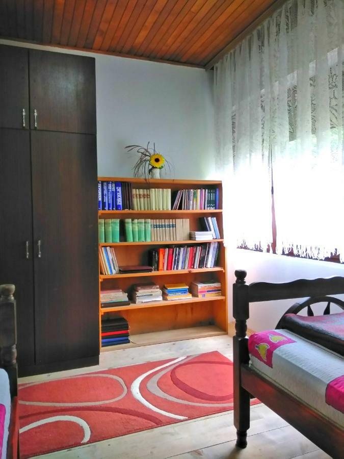 Guesthouse Mirkovic Pluzine Exterior foto