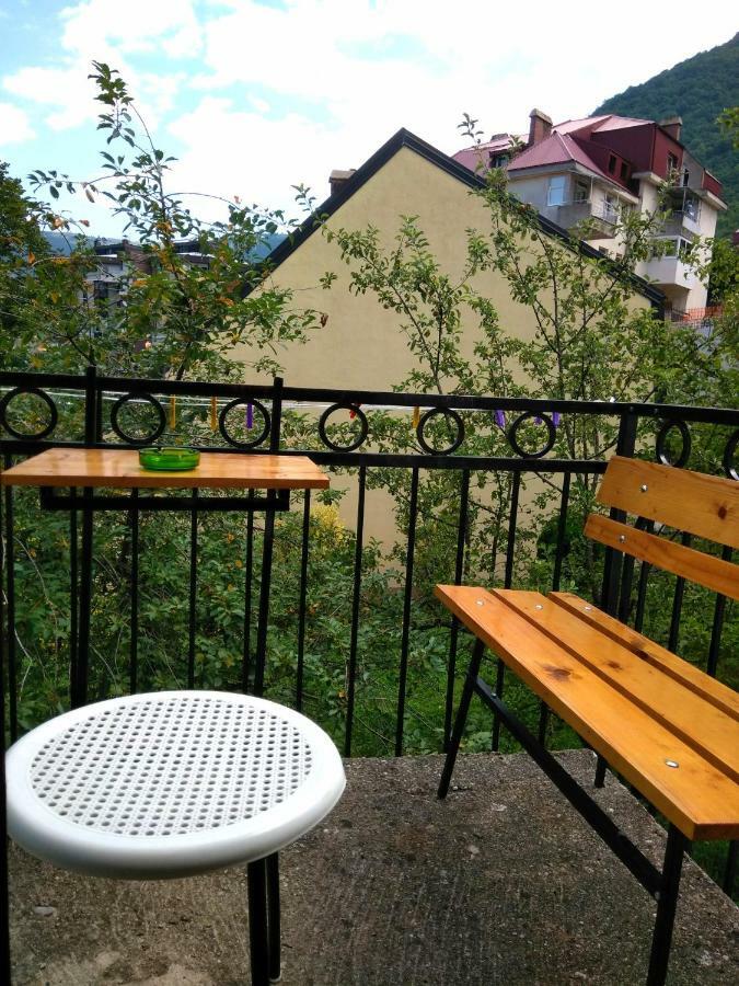 Guesthouse Mirkovic Pluzine Exterior foto